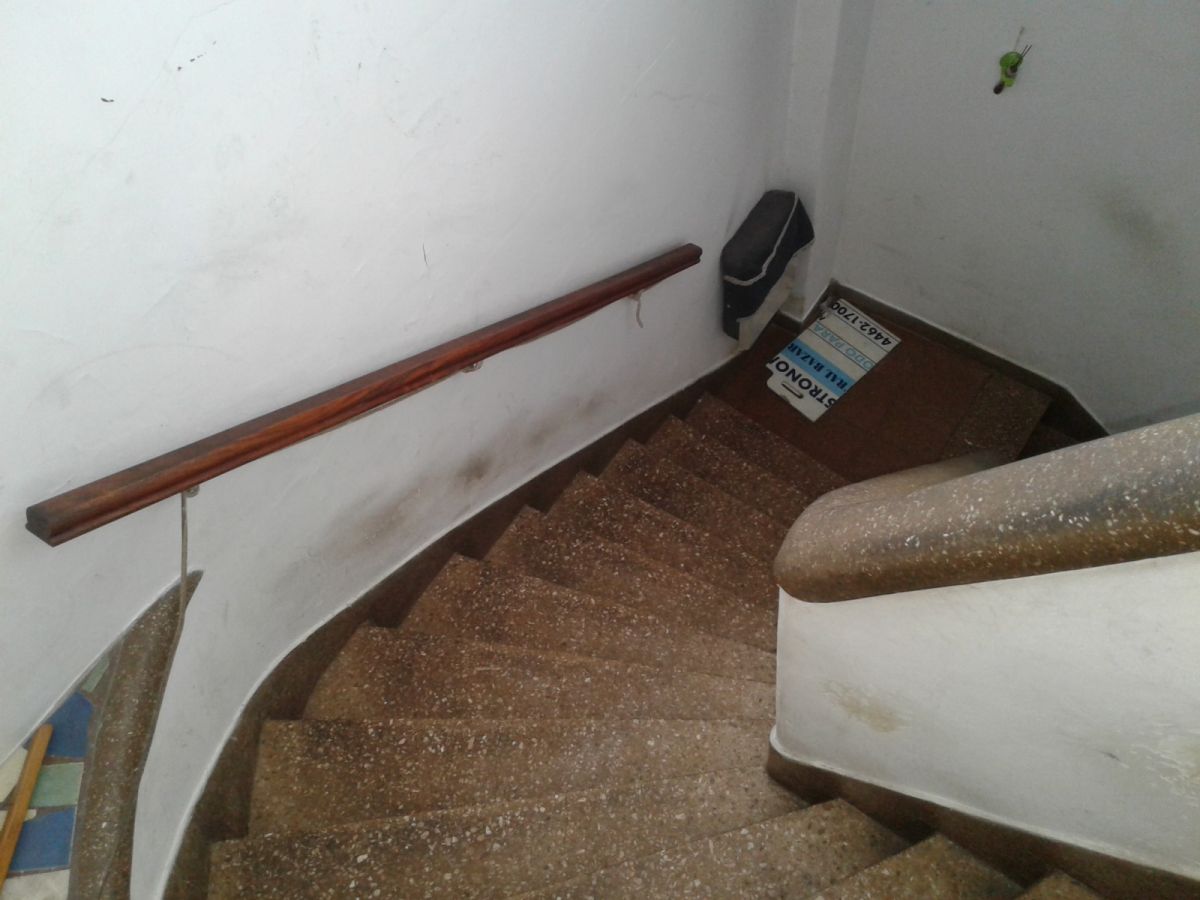 5e6bd2db31381.jpg